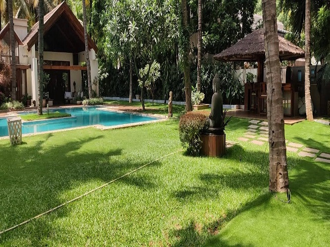 Landscape & Gardening