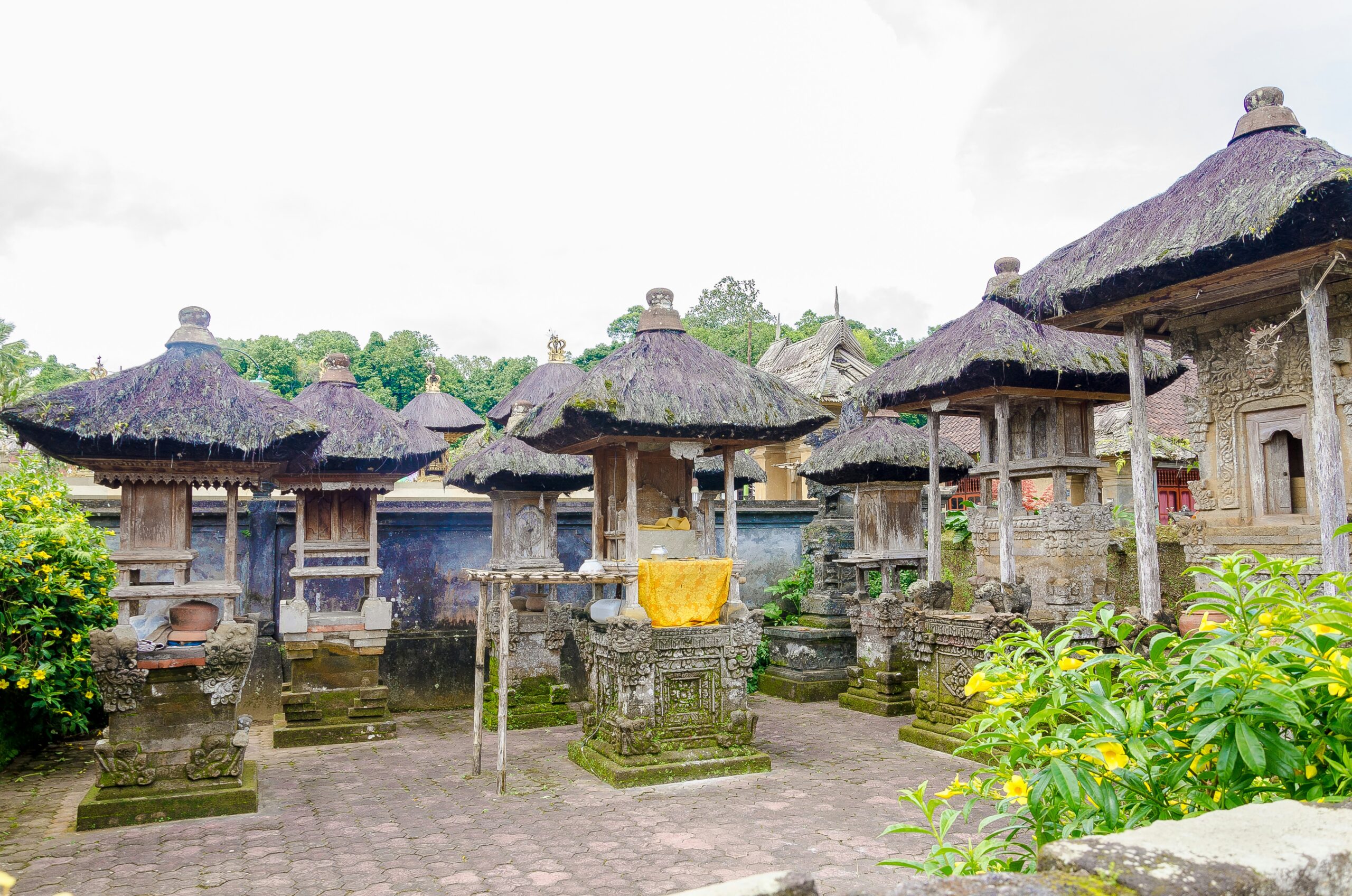 satria-setiawan-hSSktUlVibQ-unsplash (1)