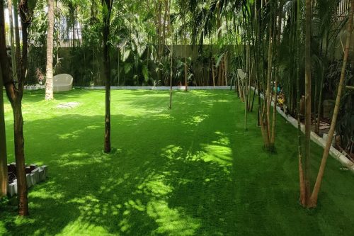 Landscaping-5